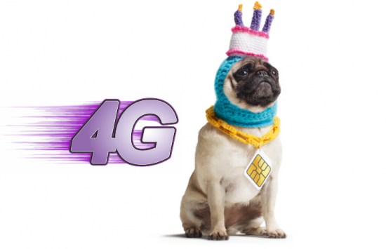 Three 4G Pug