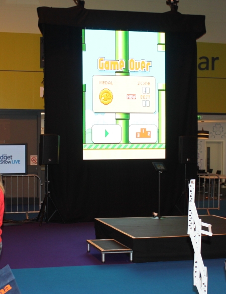 big Flappy Birds