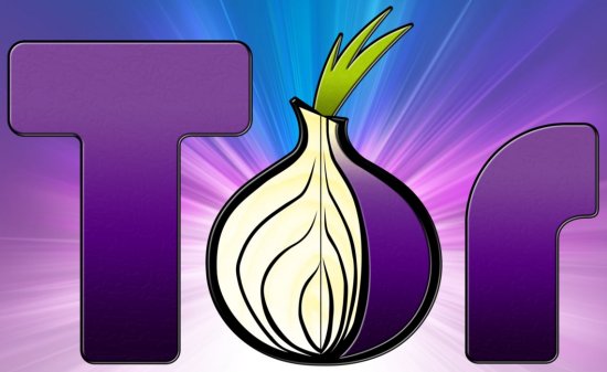 tor_browser_logo_by_j_bob-d5gjqrq