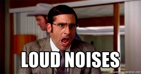 loudnoises