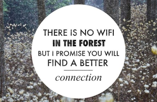 wififorest