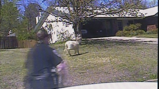 donkeycam