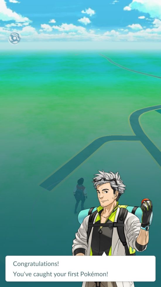 pidgey2