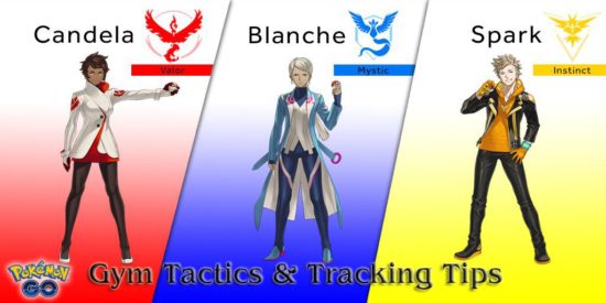 gymtrack