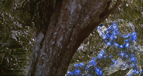 Predator 2 invisibility cloak